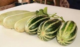 吃瓜05年的网红,揭秘娱乐圈那些不为人知的幕后故事